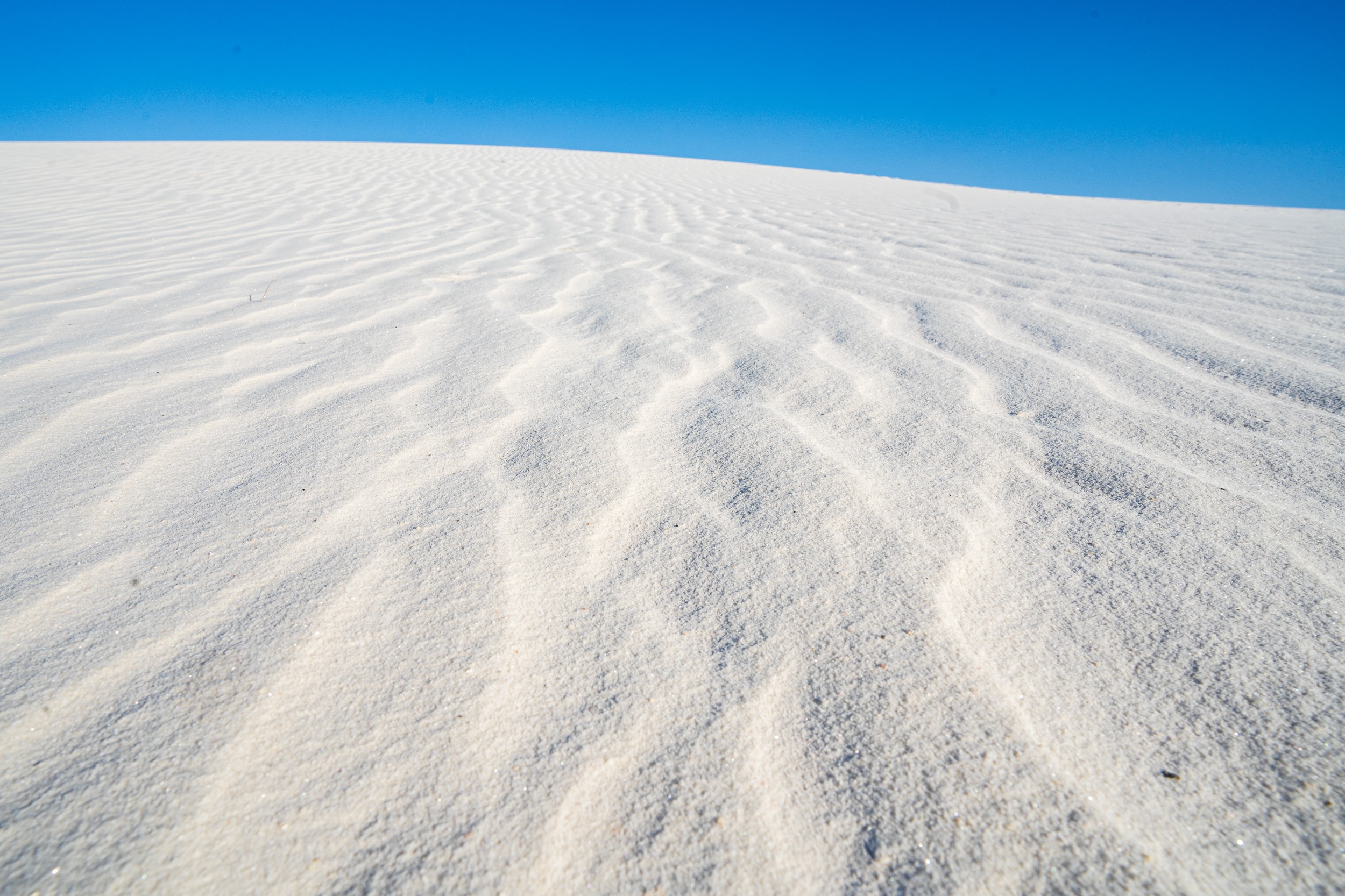 USA 2024 5 Sterne 58